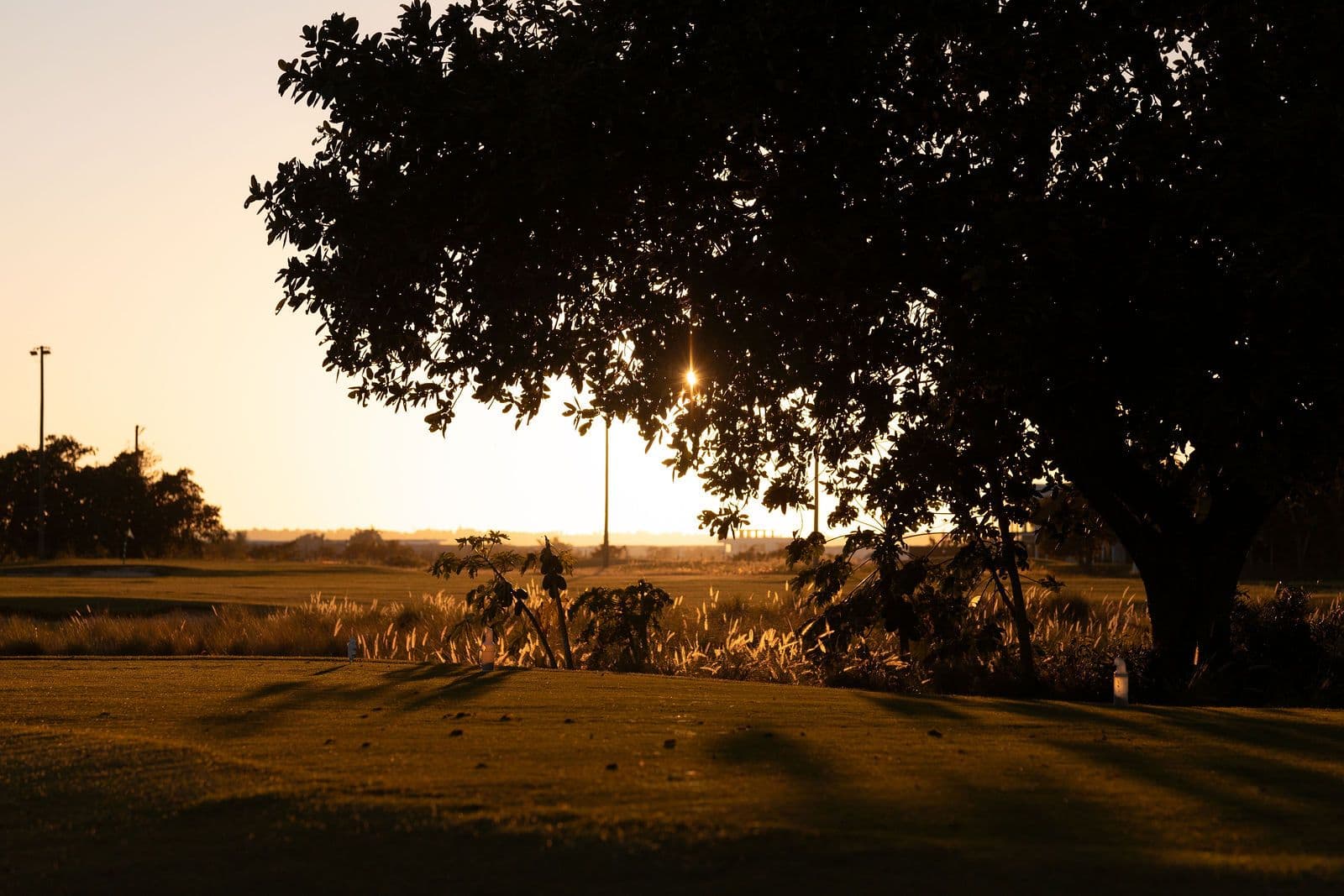 The Golf Club