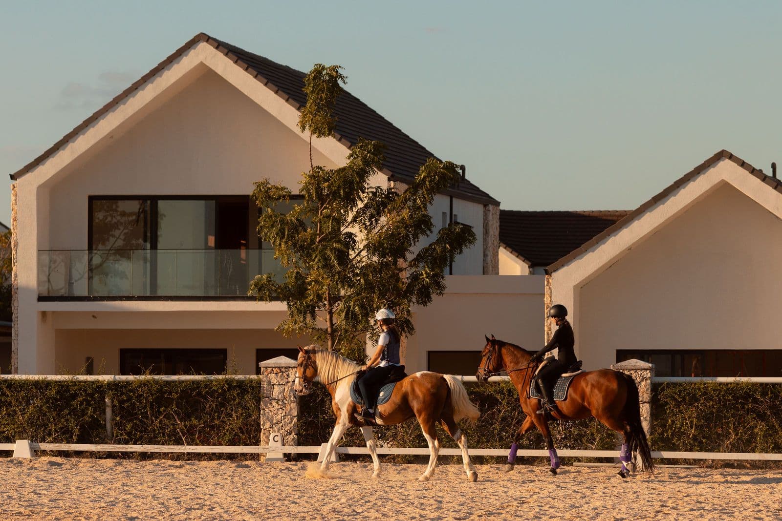 Sabana Stables