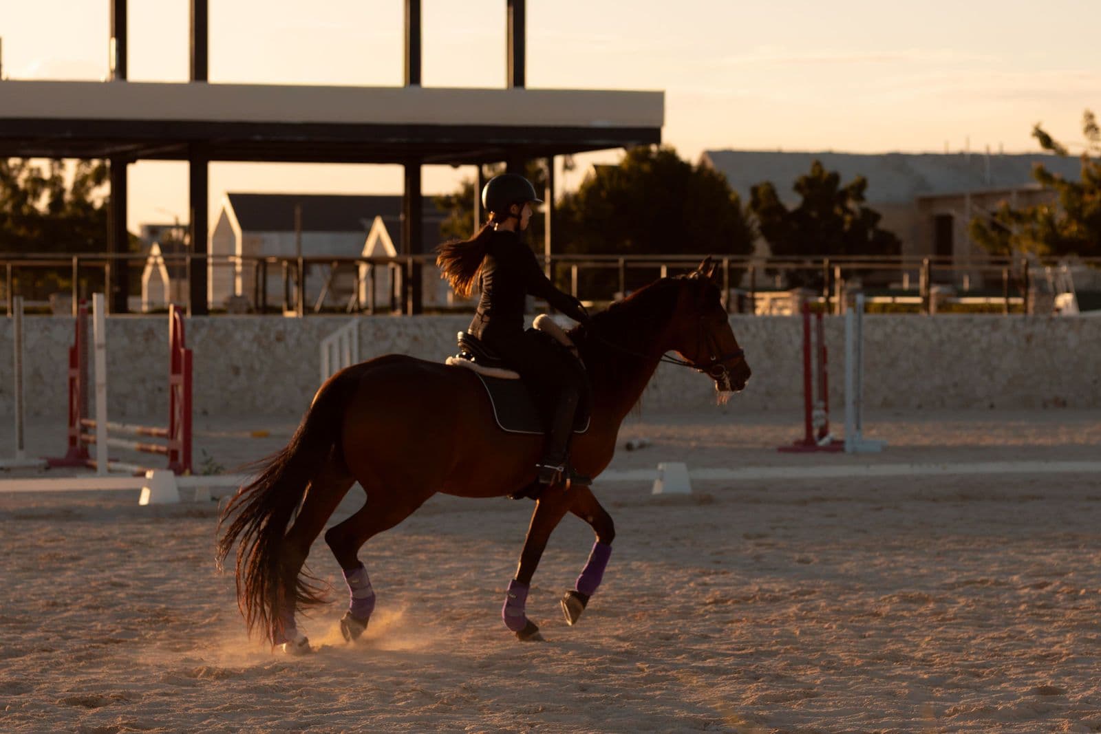 Sabana Stables