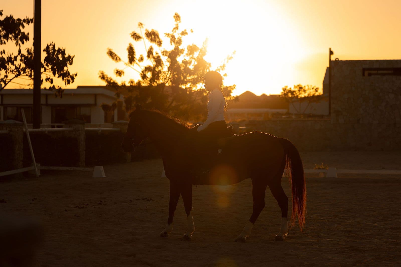 Sabana Stables